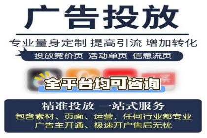 案例分享：SEM推广助力电商快速崛起